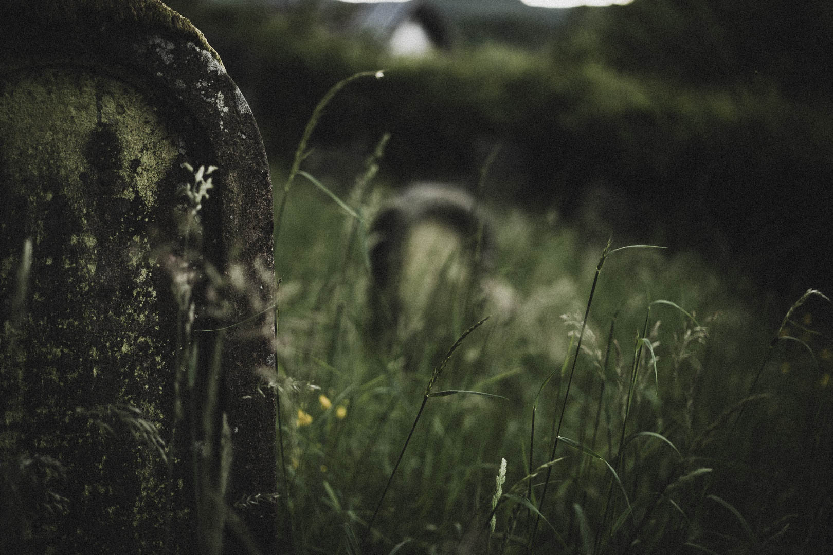 Aufenau Jüdischer Friedhof